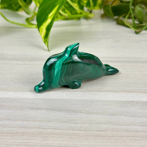 Malachite Animal Carving G - Dolphin 13 - Kenna's Crystals from TikTok