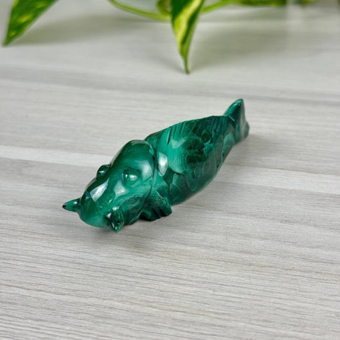 Malachite Animal Carving I - Catfish 11 - Kenna's Crystals from TikTok