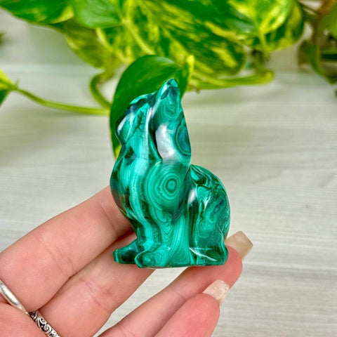 Malachite Animal Carving K - Kitty 9 - Kenna's Crystals from TikTok