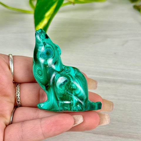 Malachite Animal Carving L - Howling Wolf 8 - Kenna's Crystals from TikTok