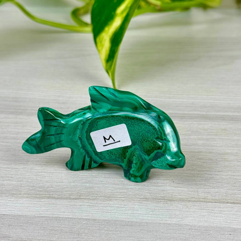 Malachite Animal Carving M - Fish 7 - Kenna's Crystals from TikTok