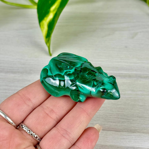 Malachite Animal Carving N - Frog 6 - Kenna's Crystals from TikTok