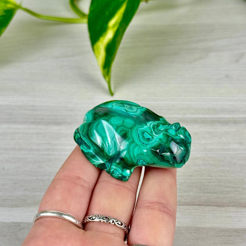 Malachite Animal Carving O - Frog 5 - Kenna's Crystals from TikTok