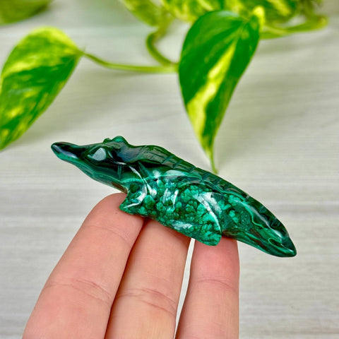 Malachite Animal Carving Q - Crocodile 3 - Kenna's Crystals from TikTok