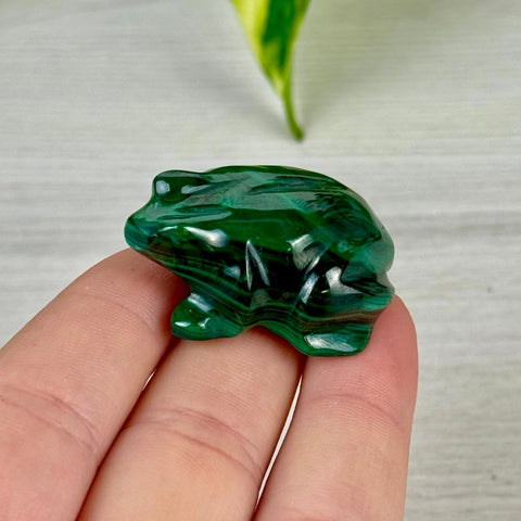Malachite Animal Carving R - Frog 2 - Kenna's Crystals from TikTok