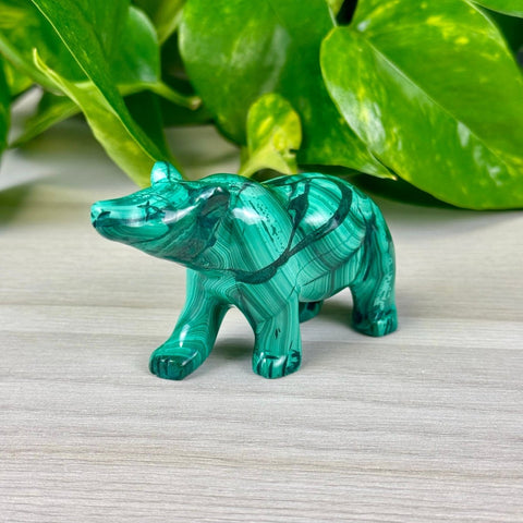 Malachite Animal Carvings Bear - 111 16 - Kenna's Crystals from TikTok