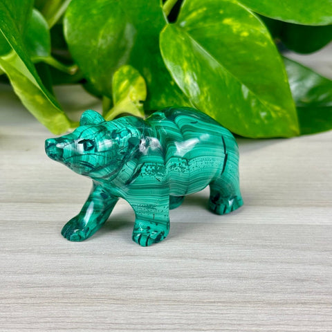Malachite Animal Carvings Bear - 122 14 - Kenna's Crystals from TikTok