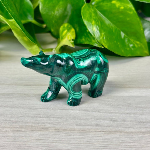 Malachite Animal Carvings Bear - 77 23 - Kenna's Crystals from TikTok