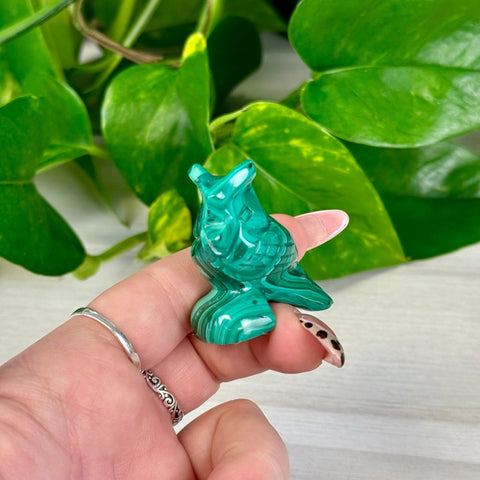Malachite Animal Carvings Bird - 44 30 - Kenna's Crystals from TikTok