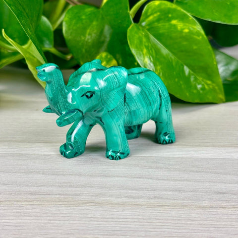 Malachite Animal Carvings Elephant - 122 15 - Kenna's Crystals from TikTok