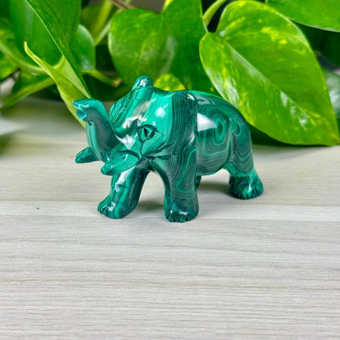 Malachite Animal Carvings Elephant - 133 11 - Kenna's Crystals from TikTok