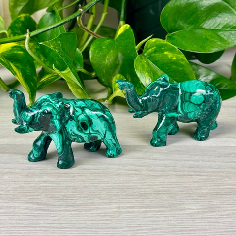 Malachite Animal Carvings Elephant - 155 1 - Kenna's Crystals from TikTok