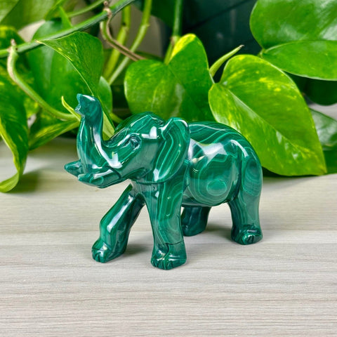 Malachite Animal Carvings Elephant - 199 3 - Kenna's Crystals from TikTok