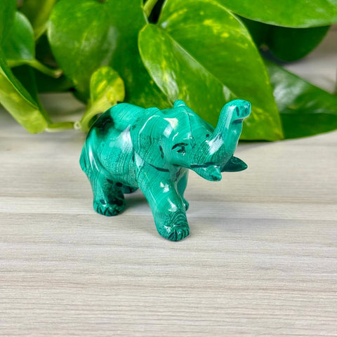 Malachite Animal Carvings Elephant - 88 21 - Kenna's Crystals from TikTok