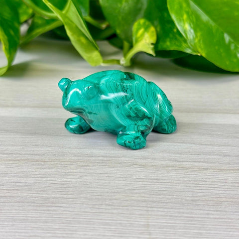 Malachite Animal Carvings Frog - 122 13 - Kenna's Crystals from TikTok