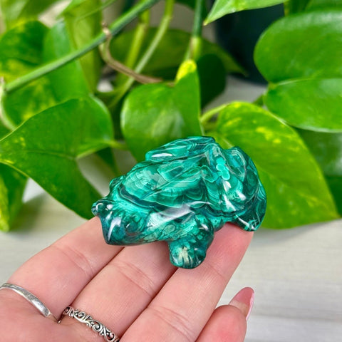 Malachite Animal Carvings Frog - 66 28 - Kenna's Crystals from TikTok