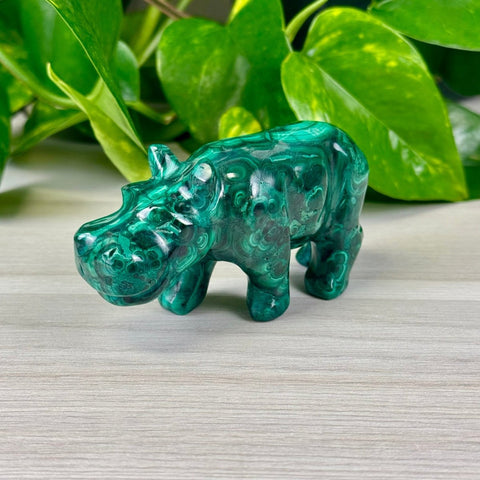 Malachite Animal Carvings Hippo - 166 6 - Kenna's Crystals from TikTok