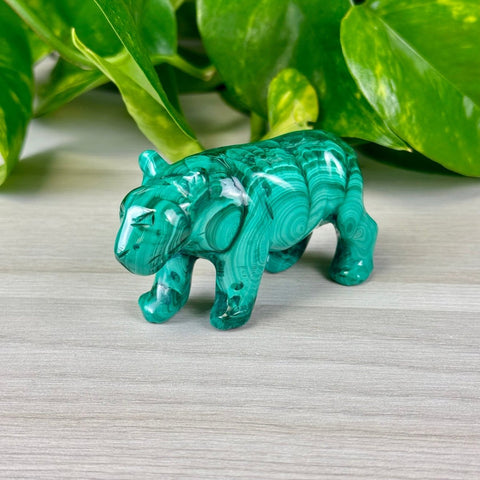 Malachite Animal Carvings Jaguar - 111 (Repaired Leg) 17 - Kenna's Crystals from TikTok