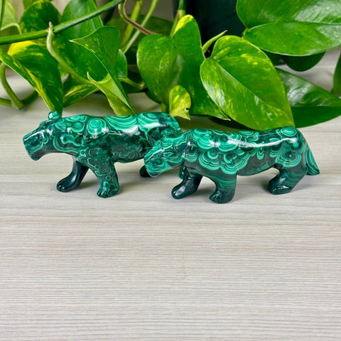 Malachite Animal Carvings Jaguar - 155 7 - Kenna's Crystals from TikTok