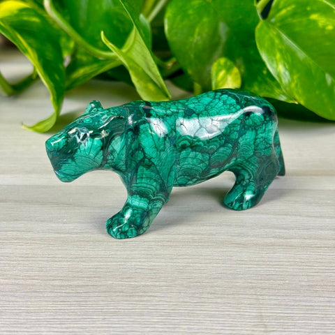 Malachite Animal Carvings Jaguar - 166 4 - Kenna's Crystals from TikTok