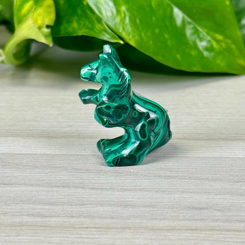Malachite Animal Carvings Kangaroo - 22 31 - Kenna's Crystals from TikTok