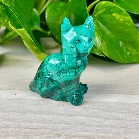 Malachite Animal Carvings Kitty - 133 12 - Kenna's Crystals from TikTok