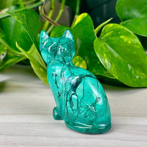 Malachite Animal Carvings Kitty - 155 9 - Kenna's Crystals from TikTok