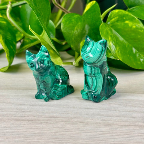 Malachite Animal Carvings Kitty - 66 25 - Kenna's Crystals from TikTok