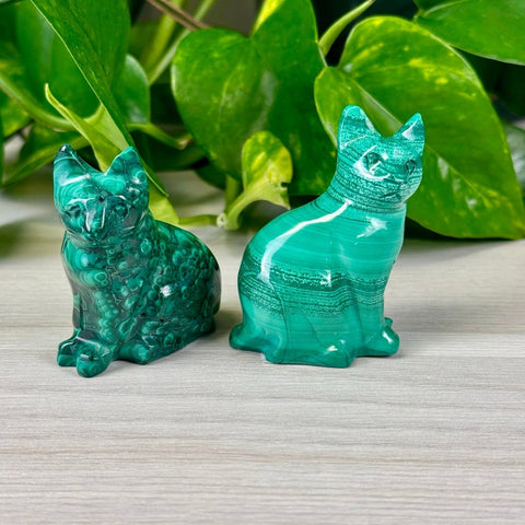 Malachite Animal Carvings Kitty - 77 22 - Kenna's Crystals from TikTok