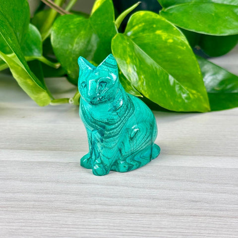 Malachite Animal Carvings Kitty - 99 19 - Kenna's Crystals from TikTok