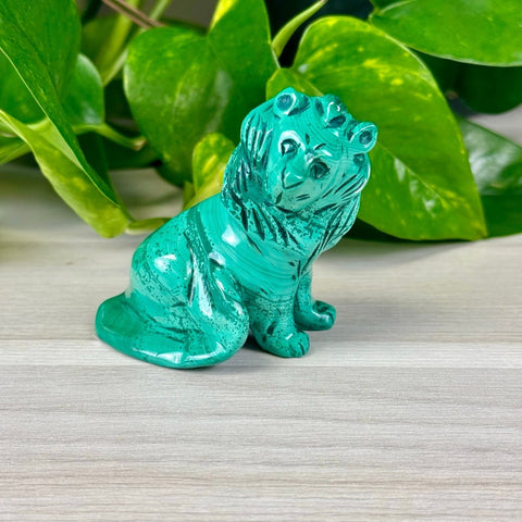 Malachite Animal Carvings Lion - 155 8 - Kenna's Crystals from TikTok