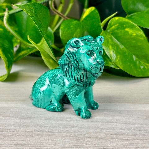 Malachite Animal Carvings Lion - 166 5 - Kenna's Crystals from TikTok