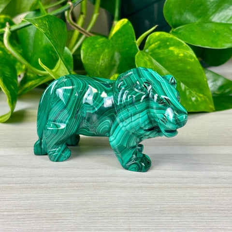 Malachite Animal Carvings Lion - 322 2 - Kenna's Crystals from TikTok