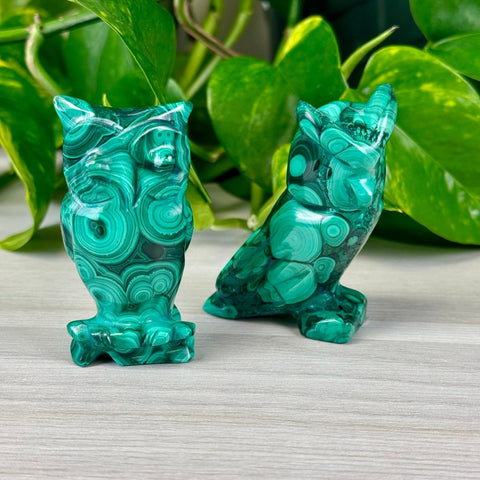 Malachite Animal Carvings Owl - 111 18 - Kenna's Crystals from TikTok