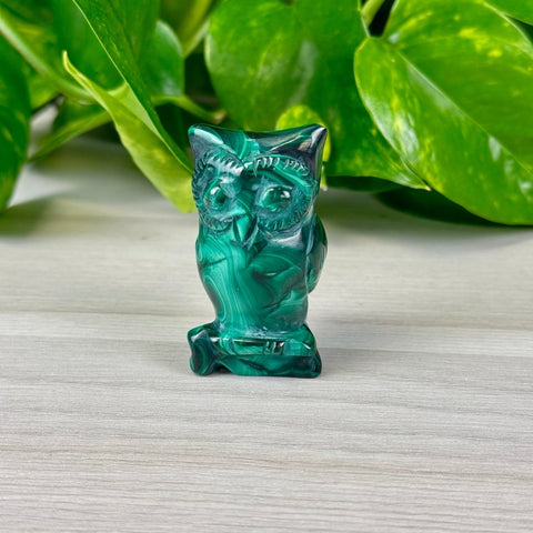 Malachite Animal Carvings Owl - 77 24 - Kenna's Crystals from TikTok