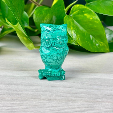 Malachite Animal Carvings Owl - 88 20 - Kenna's Crystals from TikTok