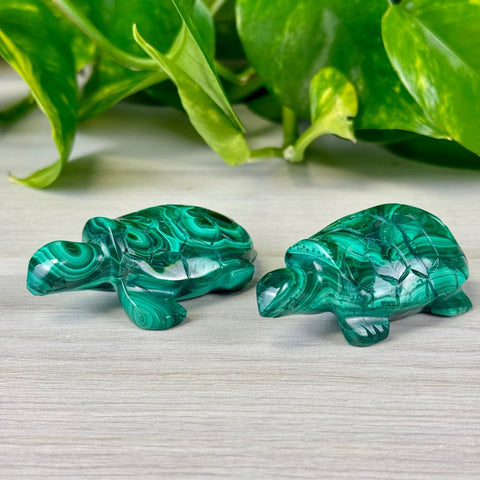 Malachite Animal Carvings Turtle - 66 26 - Kenna's Crystals from TikTok