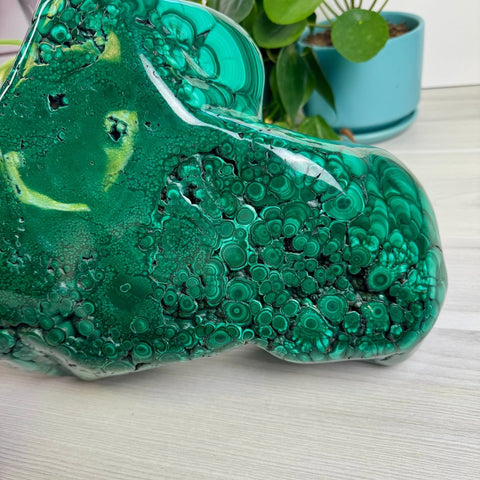 Malachite Queen 7 - Kenna's Crystals from TikTok