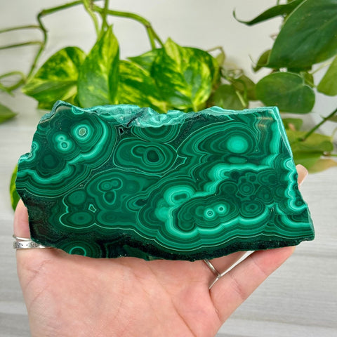 Malachite Slab 183 5 - Kenna's Crystals from TikTok