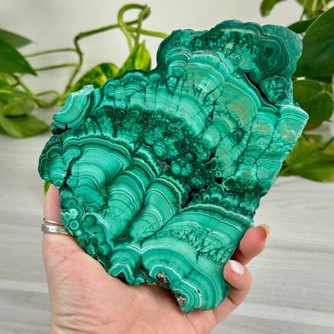 Malachite Slab 296 7 - Kenna's Crystals from TikTok