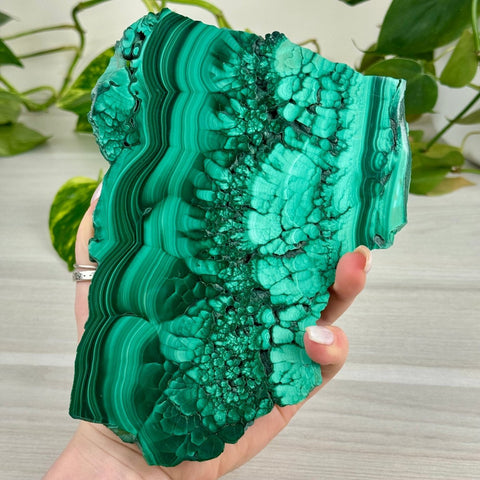 Malachite Slab 313 8 - Kenna's Crystals from TikTok