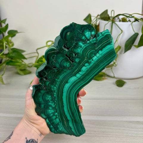 Malachite Slab 339 10 - Kenna's Crystals from TikTok