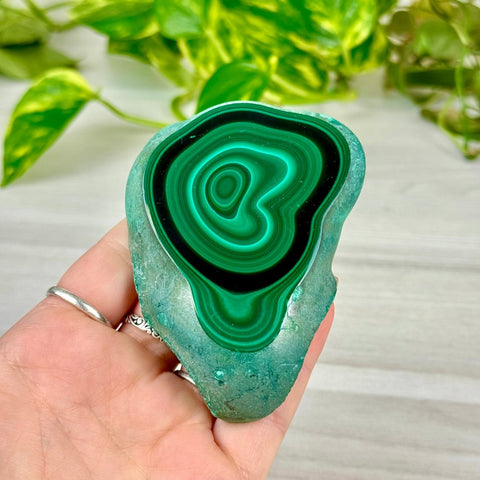 Malachite Slice 111 4 - Kenna's Crystals from TikTok