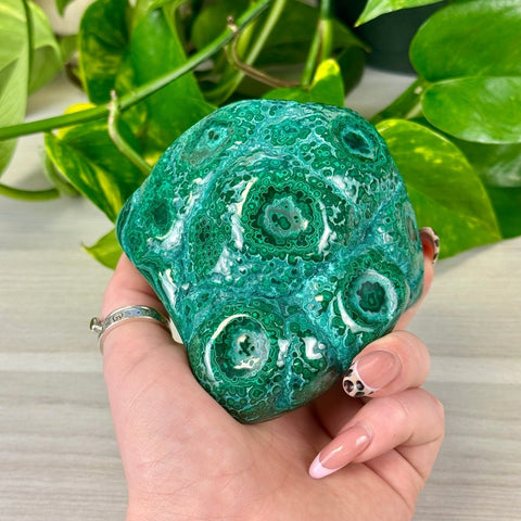 Malacolla Free Form 188 7 - Kenna's Crystals from TikTok