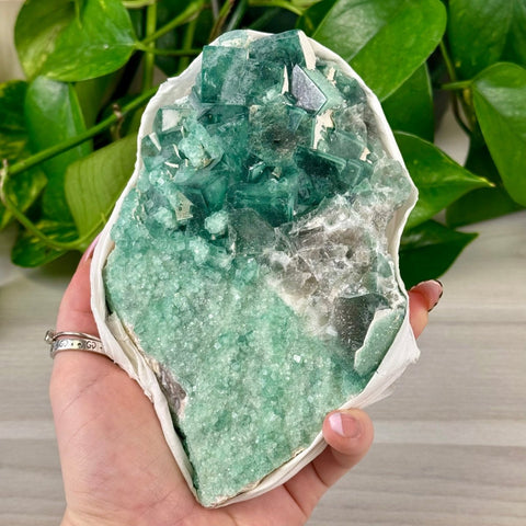 Malagasy Green Fluorite 99 2 - Kenna's Crystals from TikTok