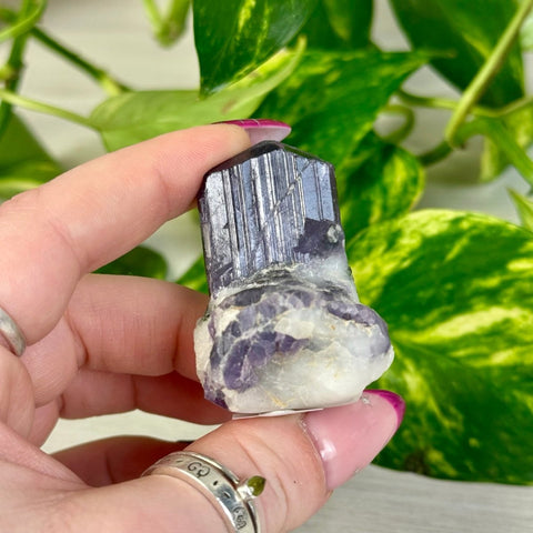 Marialite F 6 - Kenna's Crystals from TikTok