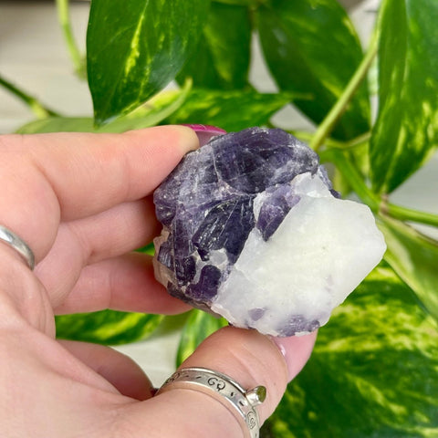 Marialite G 7 - Kenna's Crystals from TikTok