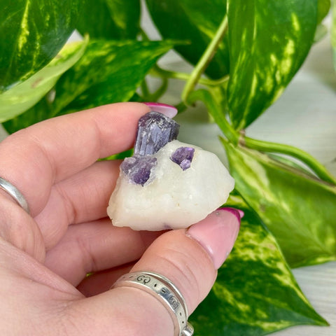 Marialite T 20 - Kenna's Crystals from TikTok