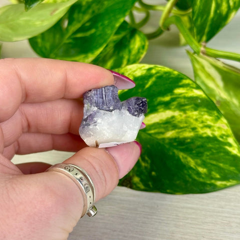 Marialite U 21 - Kenna's Crystals from TikTok