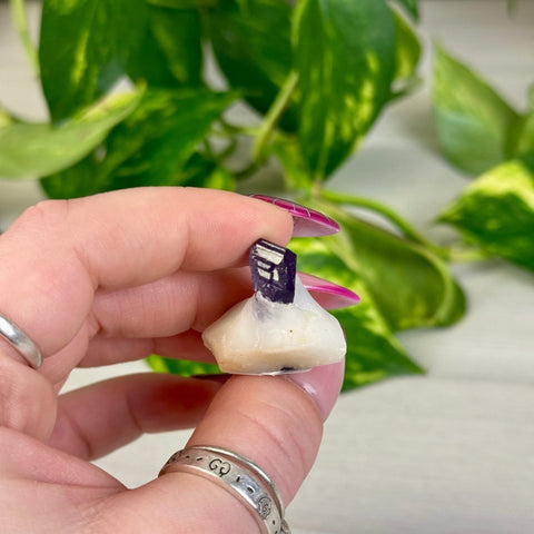 Marialite W 23 - Kenna's Crystals from TikTok